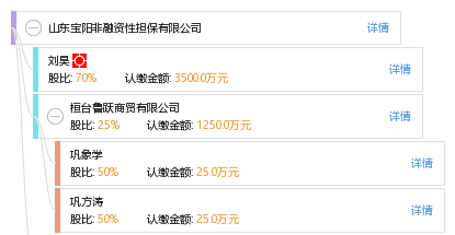 山東寶陽非融資性擔(dān)保業(yè)務(wù)解析